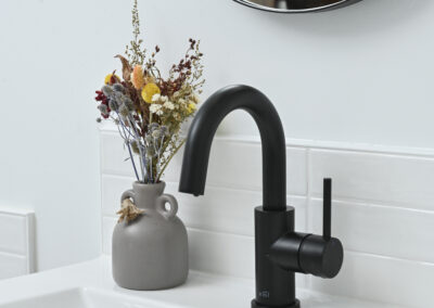 Bathroom Remodel in Arden Park